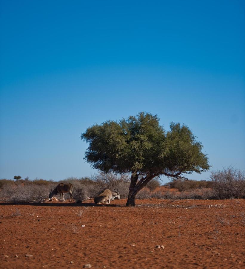 Kalahari Anib Campsite Hardap Extérieur photo
